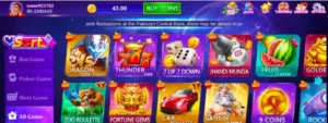 Daily Patti Game Download APK 2
