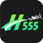 H555 Game